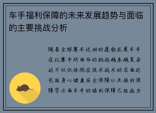 车手福利保障的未来发展趋势与面临的主要挑战分析