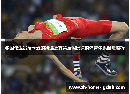 张国伟退役后享受的待遇及其背后深层次的体育体系保障解析