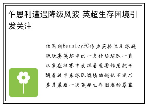 伯恩利遭遇降级风波 英超生存困境引发关注